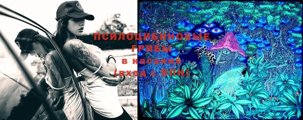 МДПВ Балабаново