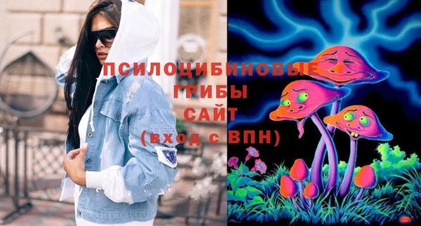 прущие крисы Рославль