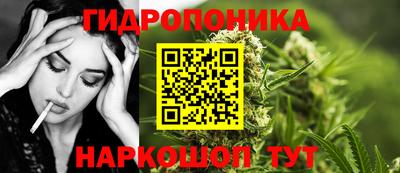 не бодяженный Гай